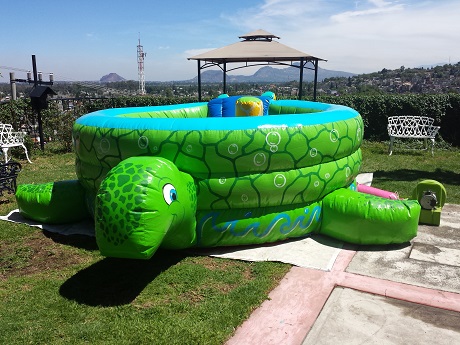 Inflable Tortuga vista central