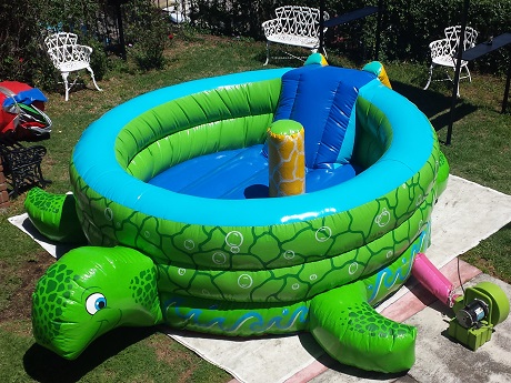 Inflable Tortuga vista area